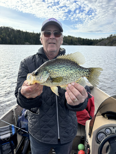 Black Crappie