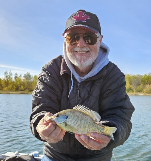 Sunfish