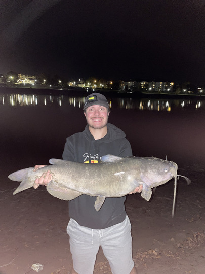 Channel Catfish