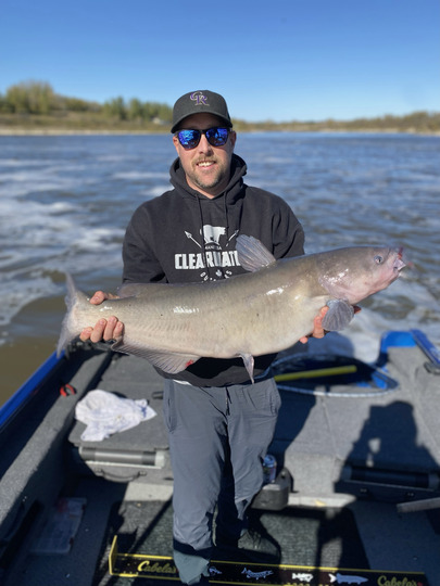 Channel Catfish