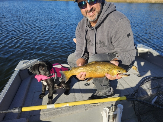 Tiger Trout