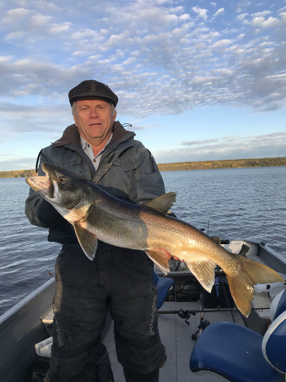 Lake Trout