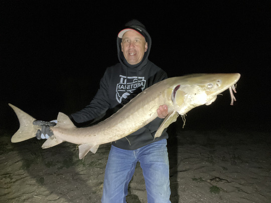 Lake Sturgeon