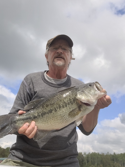 Largemouth Bass