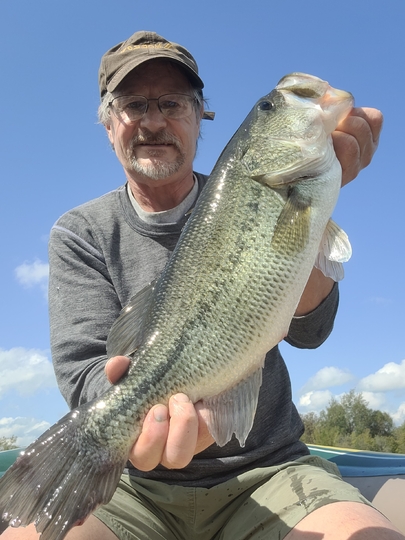 Largemouth Bass