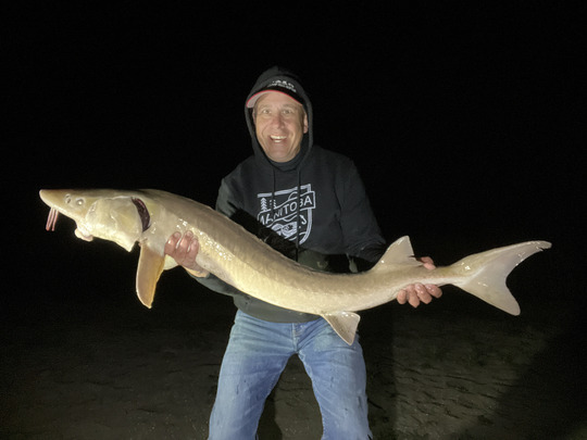 Lake Sturgeon