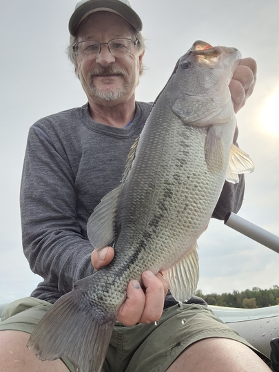 Largemouth Bass