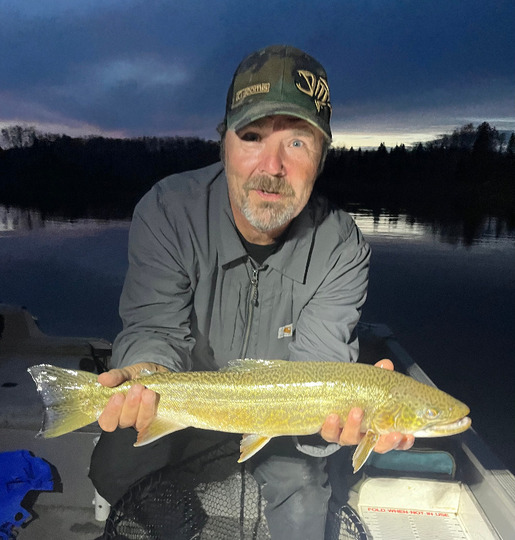 Tiger Trout