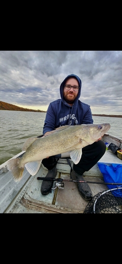 Walleye