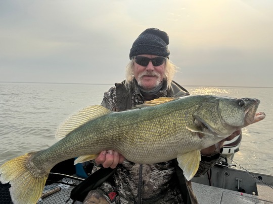 Walleye