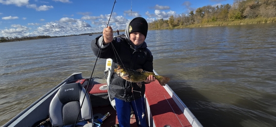 Bullhead
