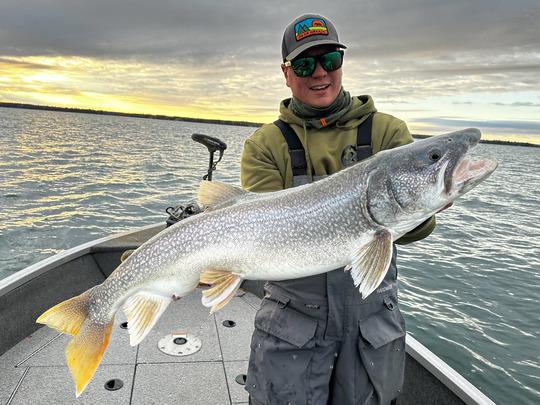 Lake Trout