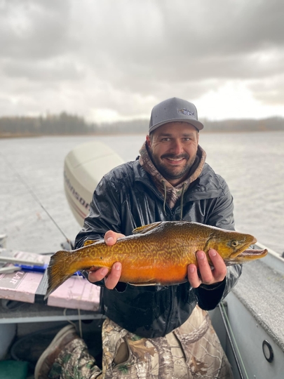 Tiger Trout