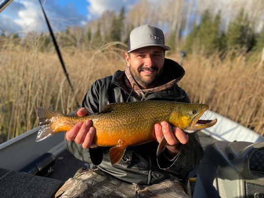 Tiger Trout