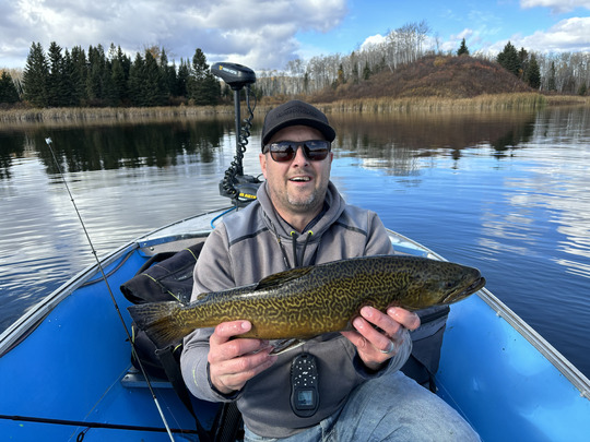 Tiger Trout