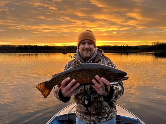 Tiger Trout