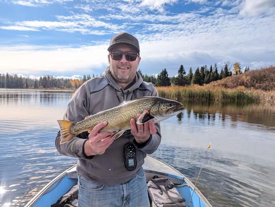 Tiger Trout