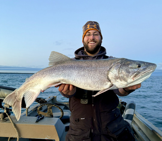 Lake Trout