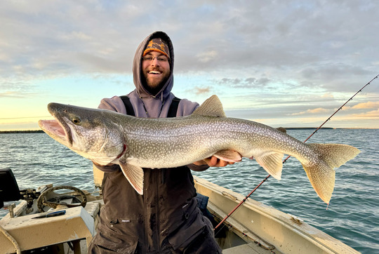 Lake Trout