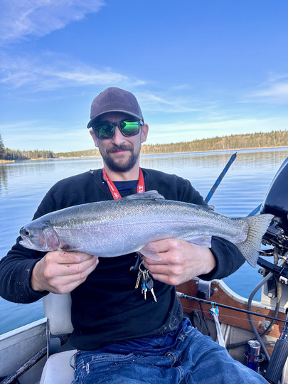 Rainbow Trout