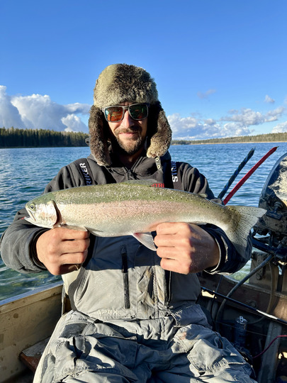 Rainbow Trout