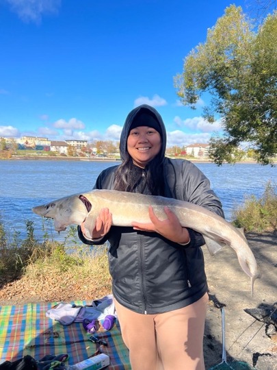 Lake Sturgeon