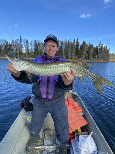 Muskellunge