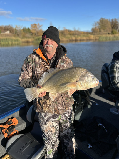 Freshwater Drum