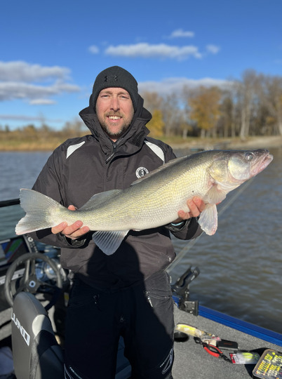 Walleye