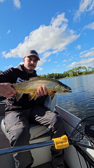 Tiger Trout