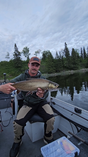 Tiger Trout