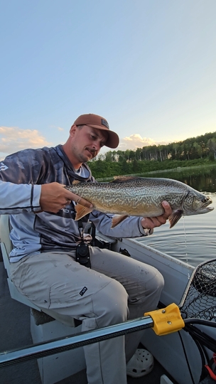 Tiger Trout