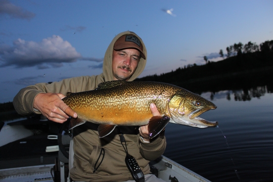 Tiger Trout