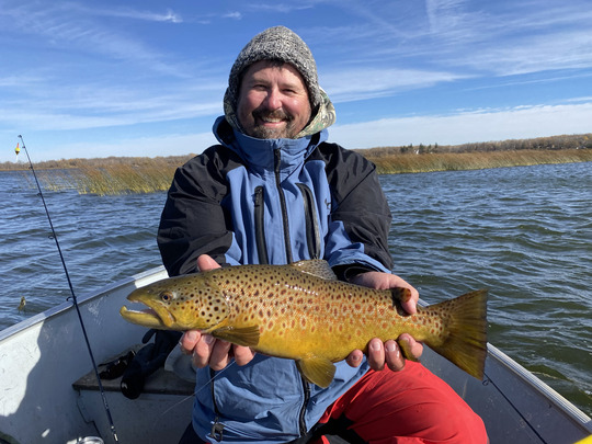 Brown Trout