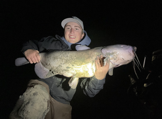 Channel Catfish