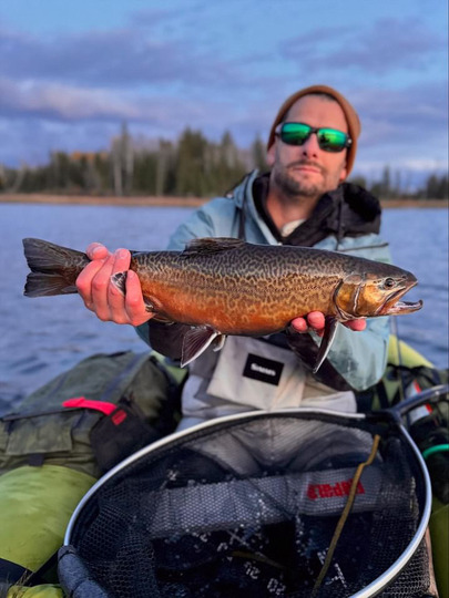 Tiger Trout