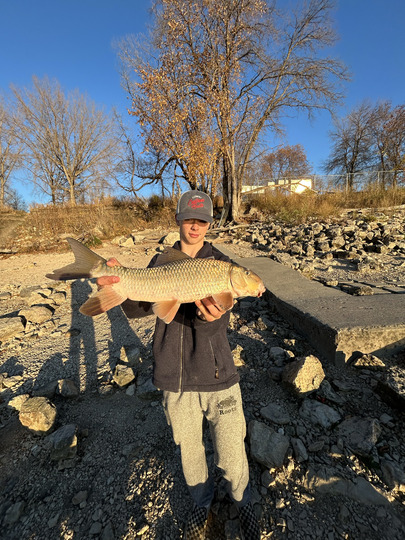 Sucker