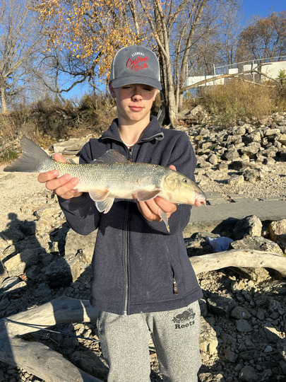 Sucker