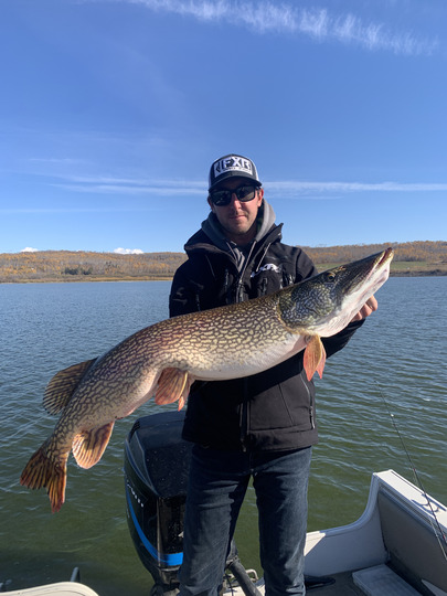 Northern Pike