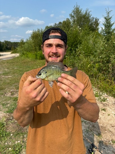 Sunfish