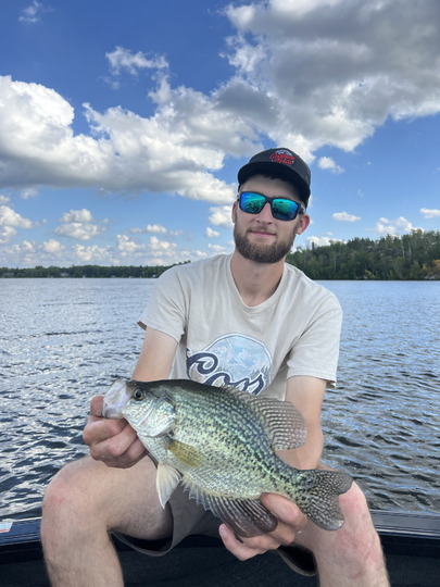 Black Crappie
