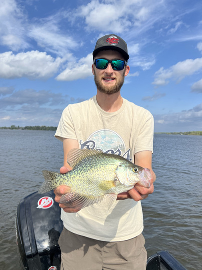 Black Crappie