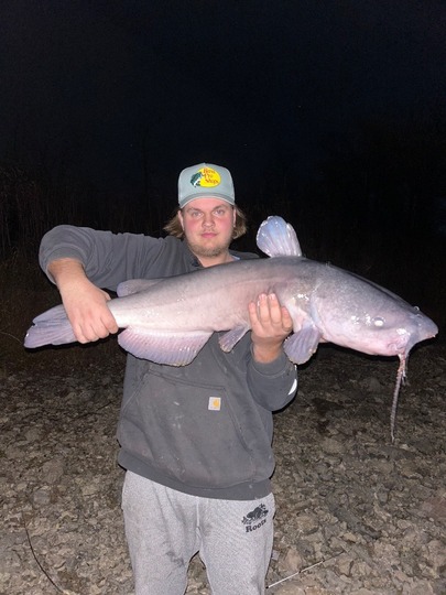 Channel Catfish