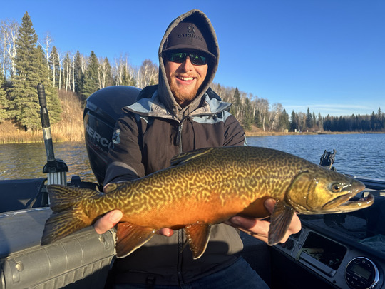 Tiger Trout