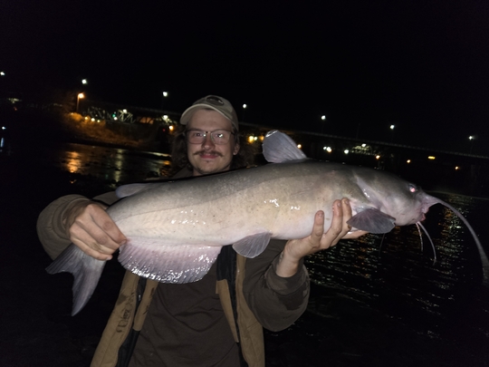 Channel Catfish