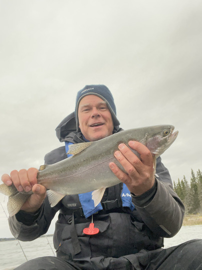 Rainbow Trout