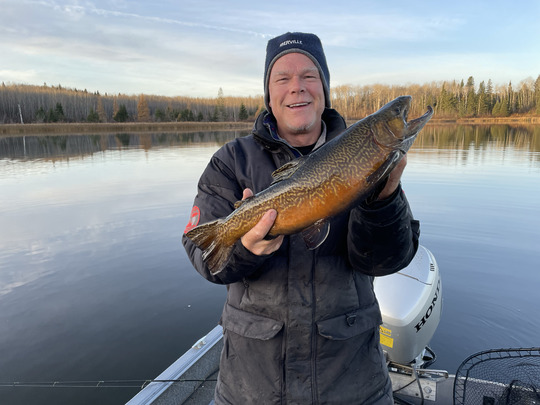 Tiger Trout