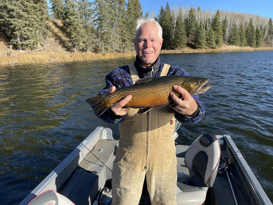 Tiger Trout