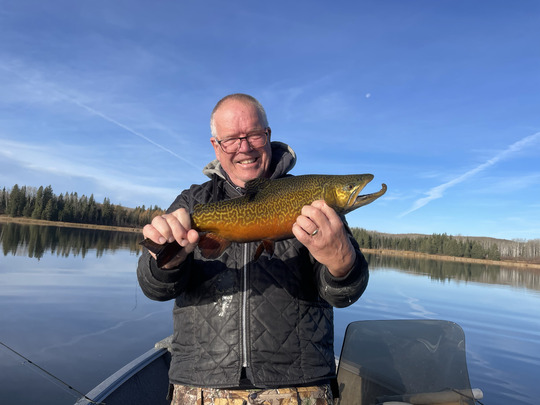 Tiger Trout