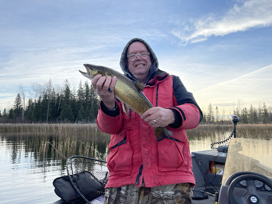 Tiger Trout